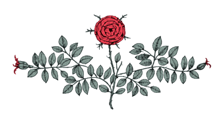 Château Coupe-Roses